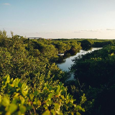 Uman Glamping & Cenote Tulum Hotel Exterior foto