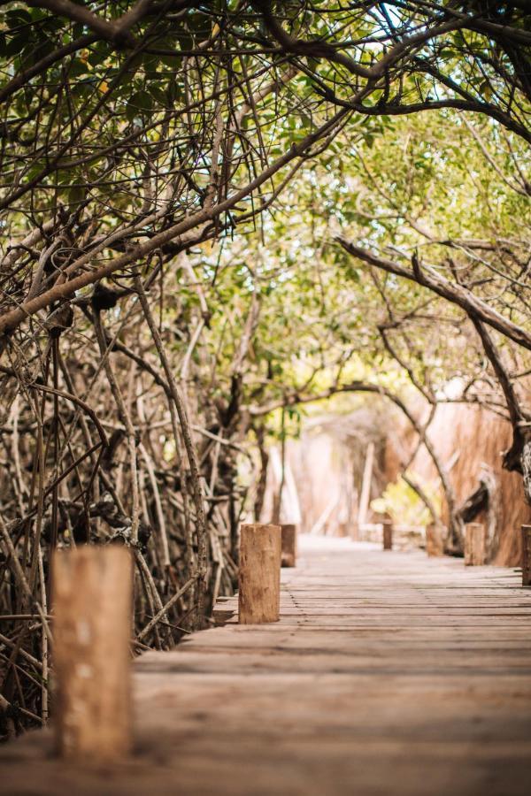 Uman Glamping & Cenote Tulum Hotel Exterior foto