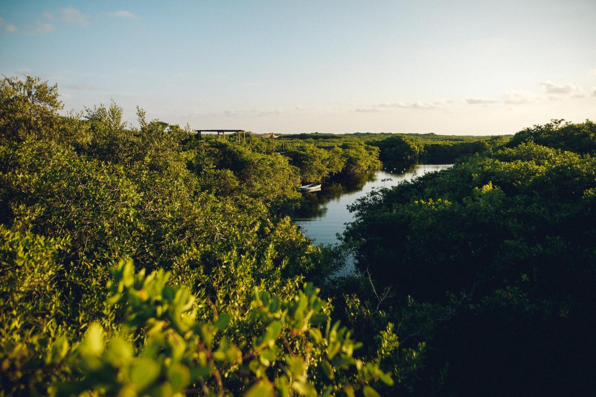 Uman Glamping & Cenote Tulum Hotel Exterior foto