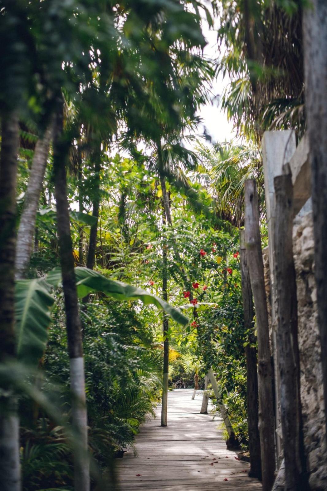 Uman Glamping & Cenote Tulum Hotel Exterior foto